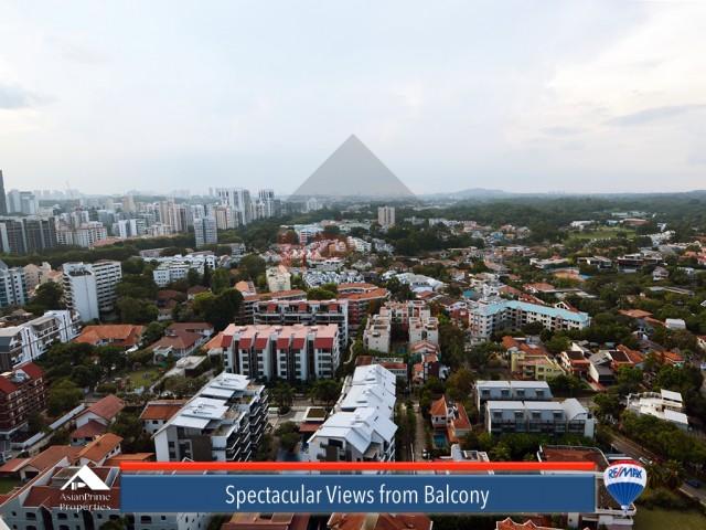 Newton Suites (D11), Apartment #104300062